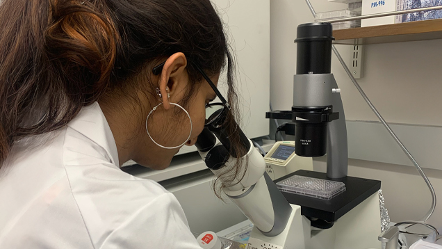 Melanie Mendonca using a microscope in a lab