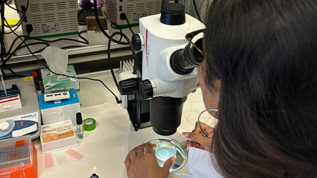 Melanie Mendonca working in a lab close up