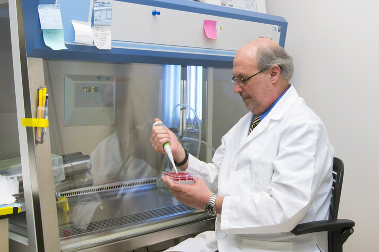 Cell therapy researcher working on studies