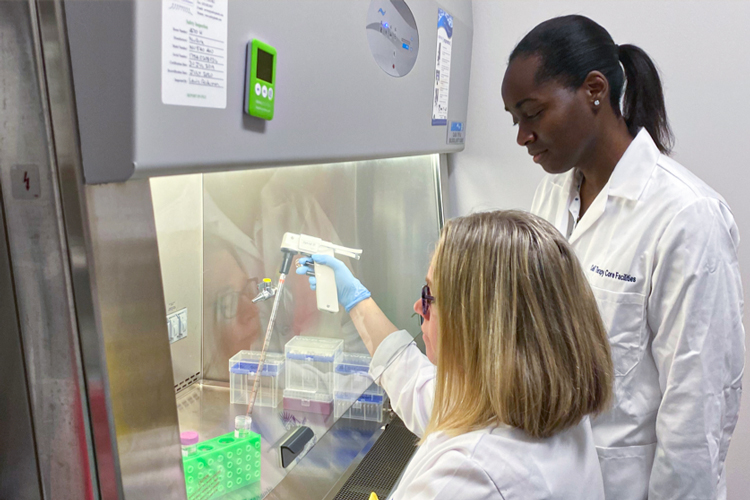 Cores cell therapy working on lab