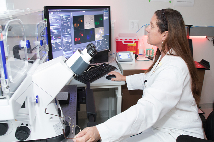 NSU scientist analyzing samples on her computer
