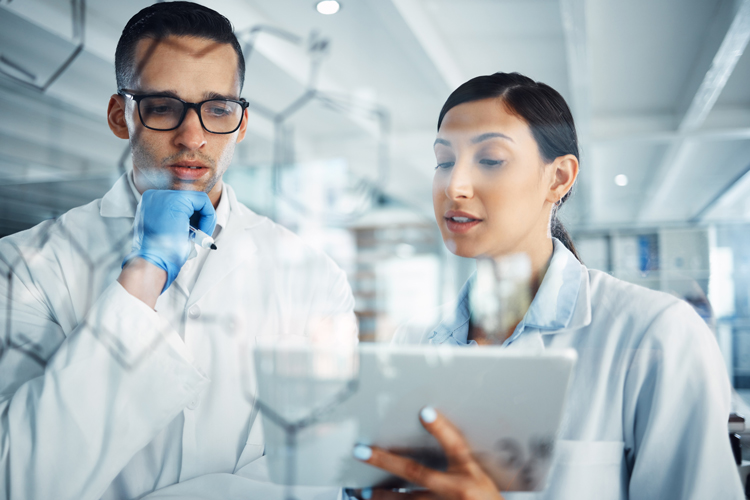 Research team looking at resources