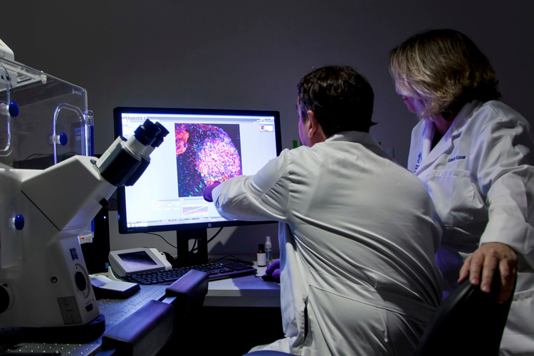 Two NSU researchers analyzing at microscope scans closeups on screen
