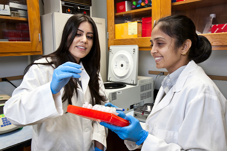 Two scientists analyzing samples in a lab