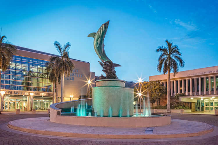 Shark fountain night view