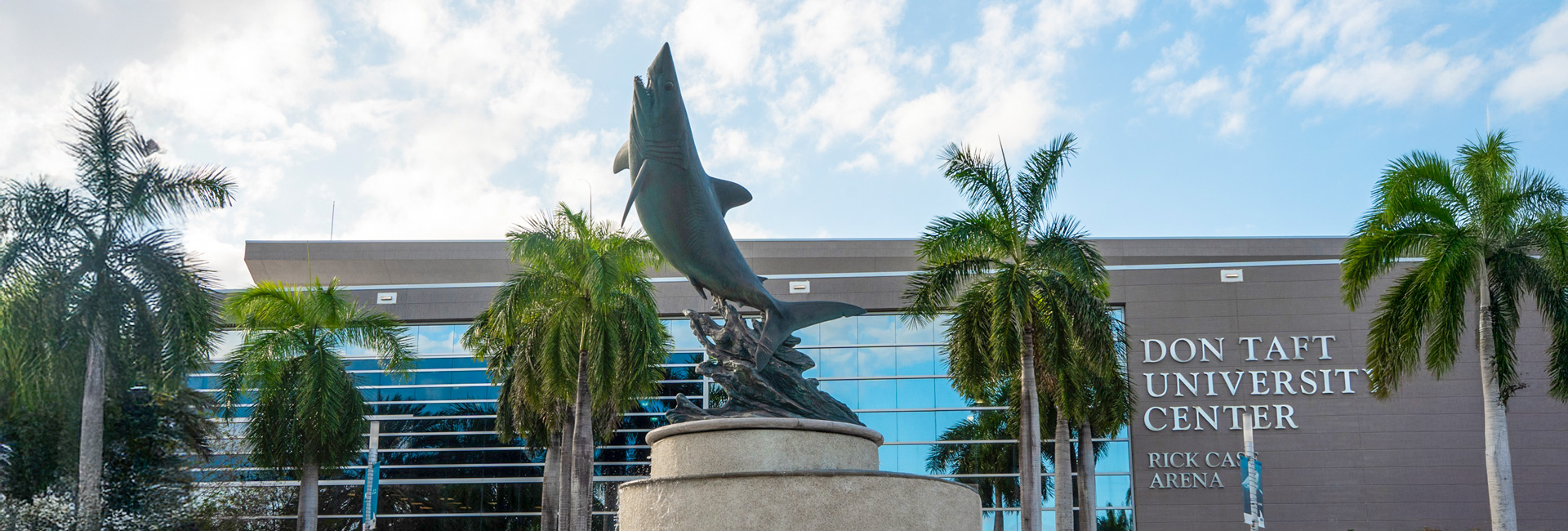 The nsu shark statue on outdoors