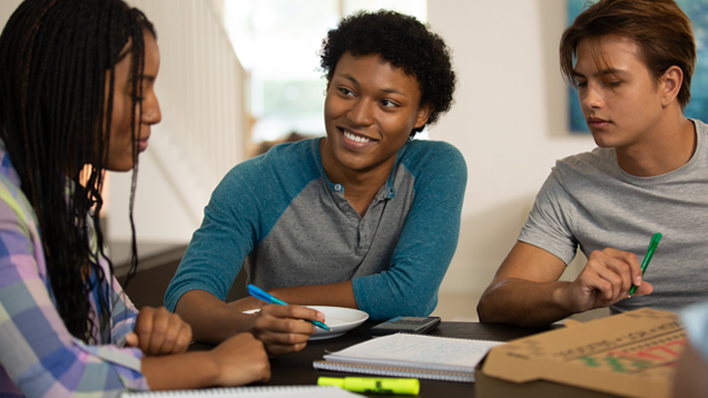 Group of students studying together