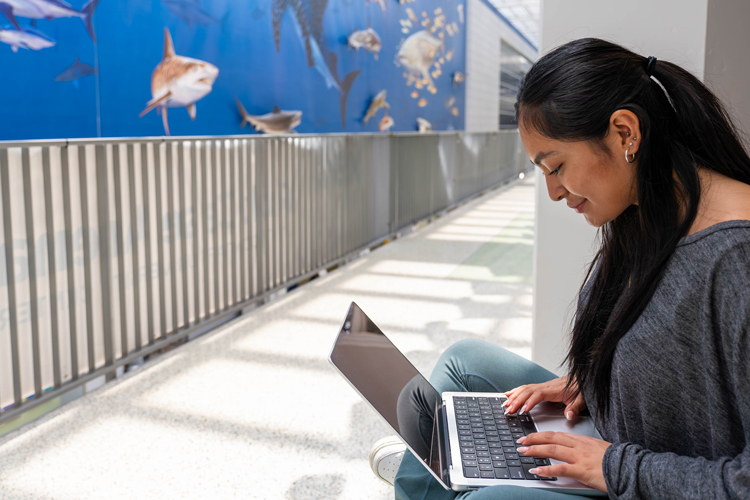Student using laptop on campus for career preparation