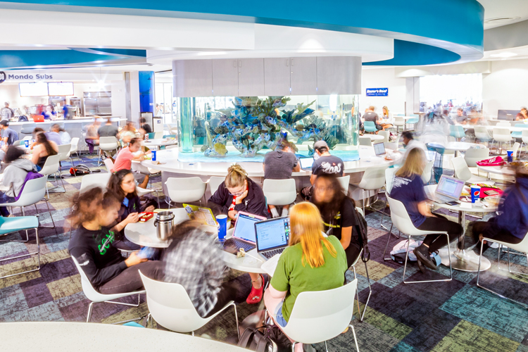 Students studying at food court and eating