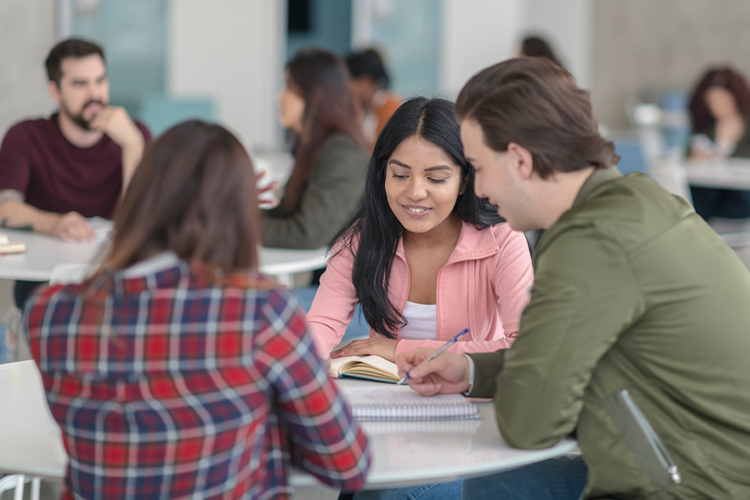Group of students studying together