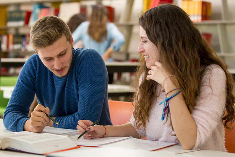 Students studying together in the library