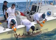 Guy Harvey...