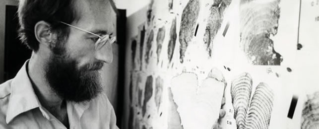 Dr. Dick Dodge looking at skeleton remains of marine life.