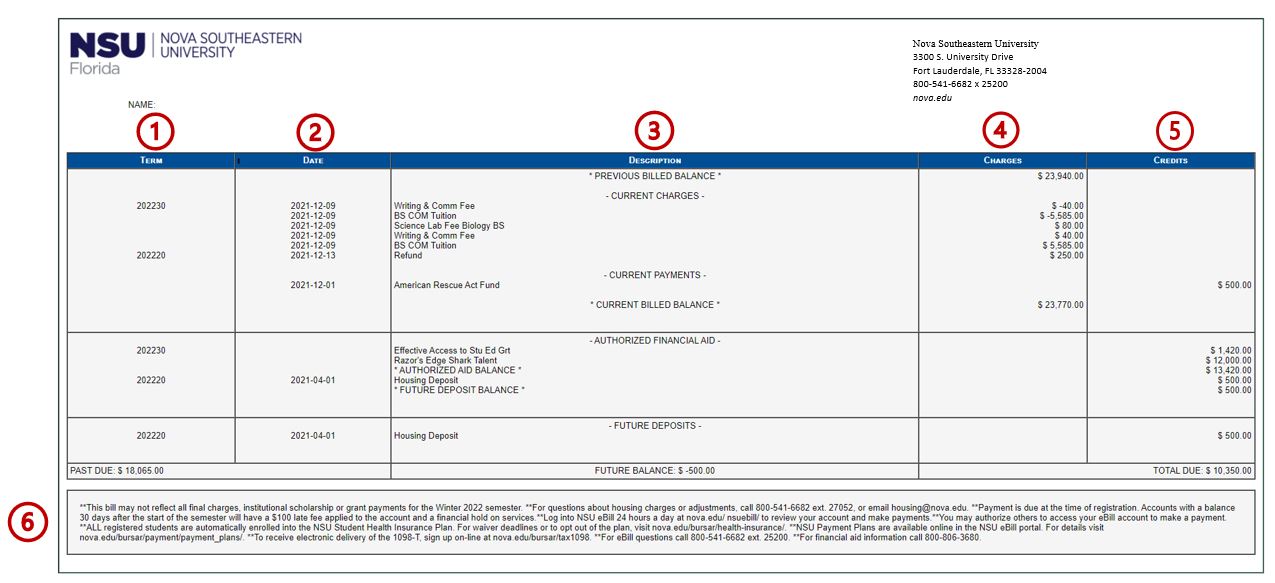 screenshot of sample nsu ebill statement