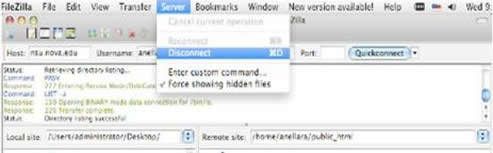Disconnect option menu within FileZilla