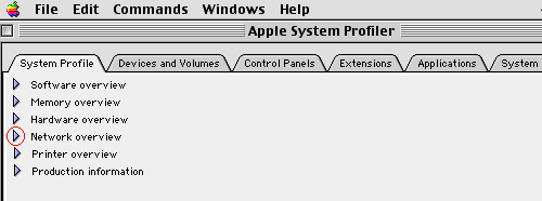 Apple System Profiler Network overview section screen