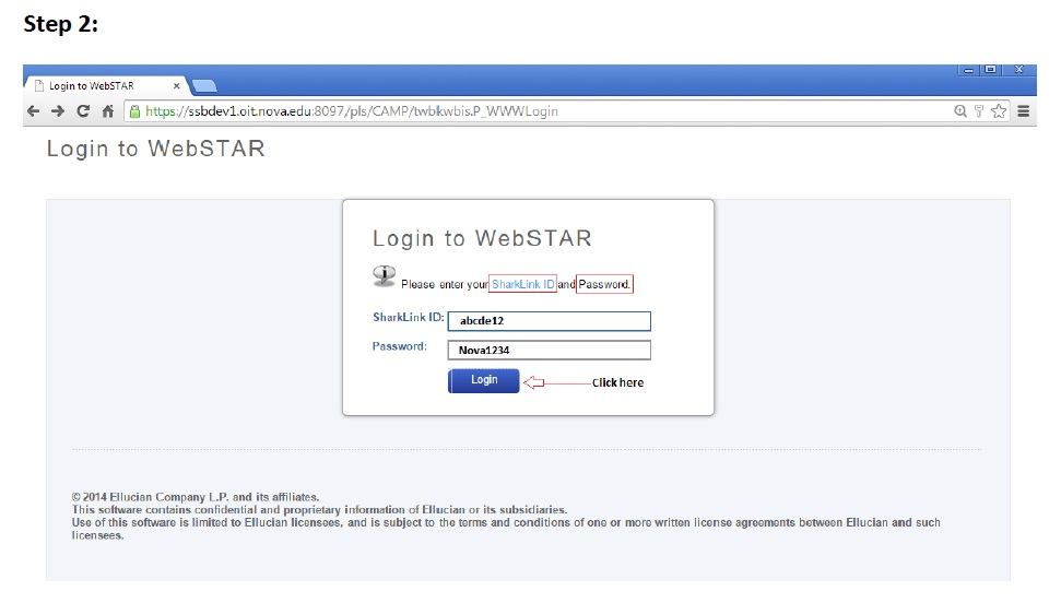 Webstar_step2