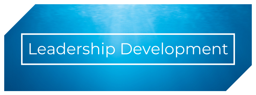 leadership-development.png