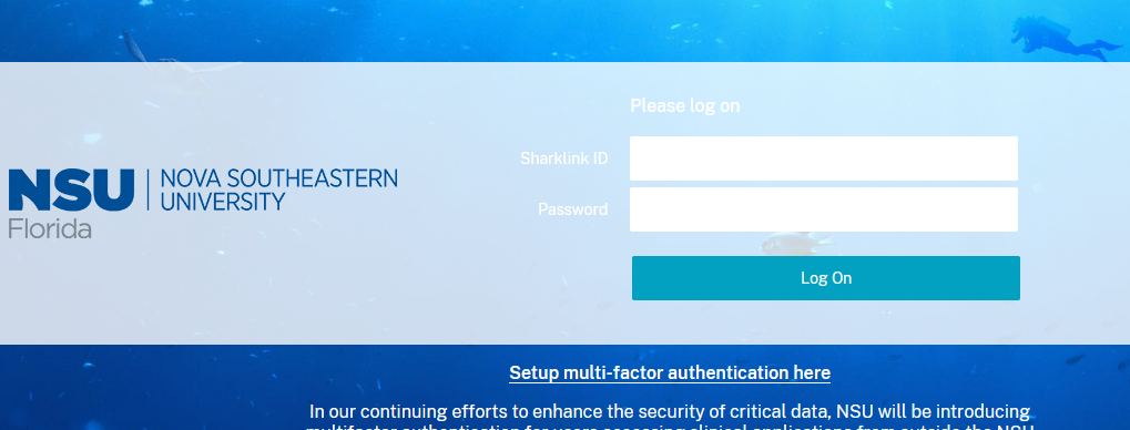 Citrix log on screen