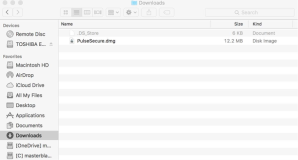 Pulse Secure package screenshot