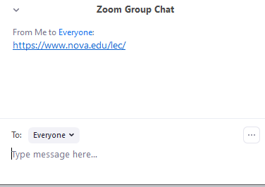 zoom group chat