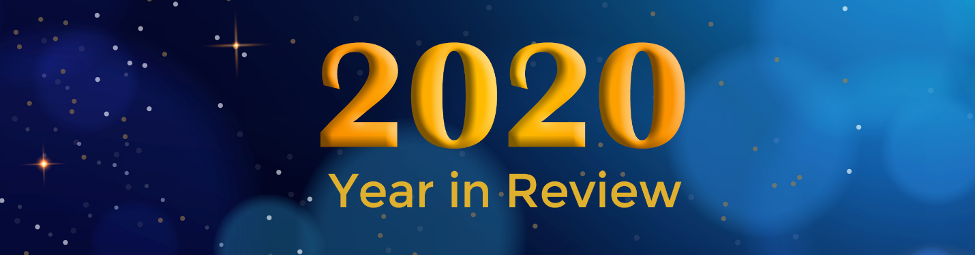 2020 Year In Review Banner