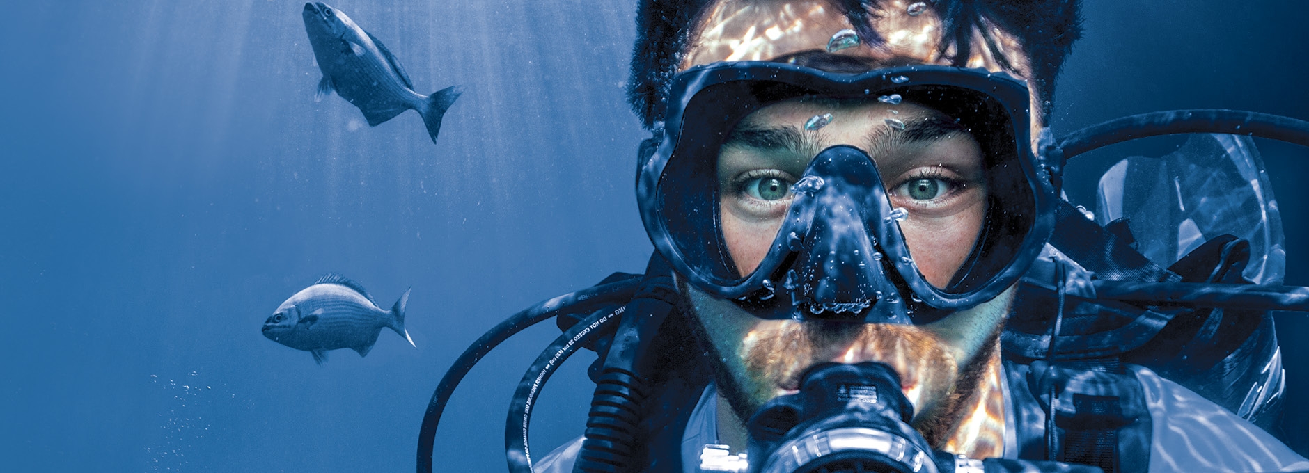 diver studying coral