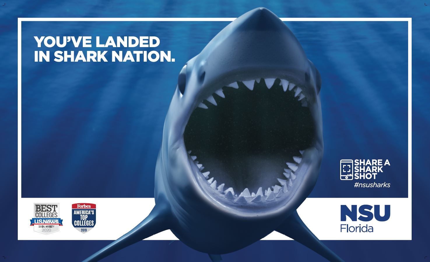 You've Landed in Shark Nation