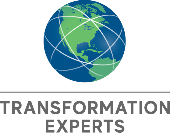NSU OIIT has partnered with Transformation Experts (T.E.) - Logo