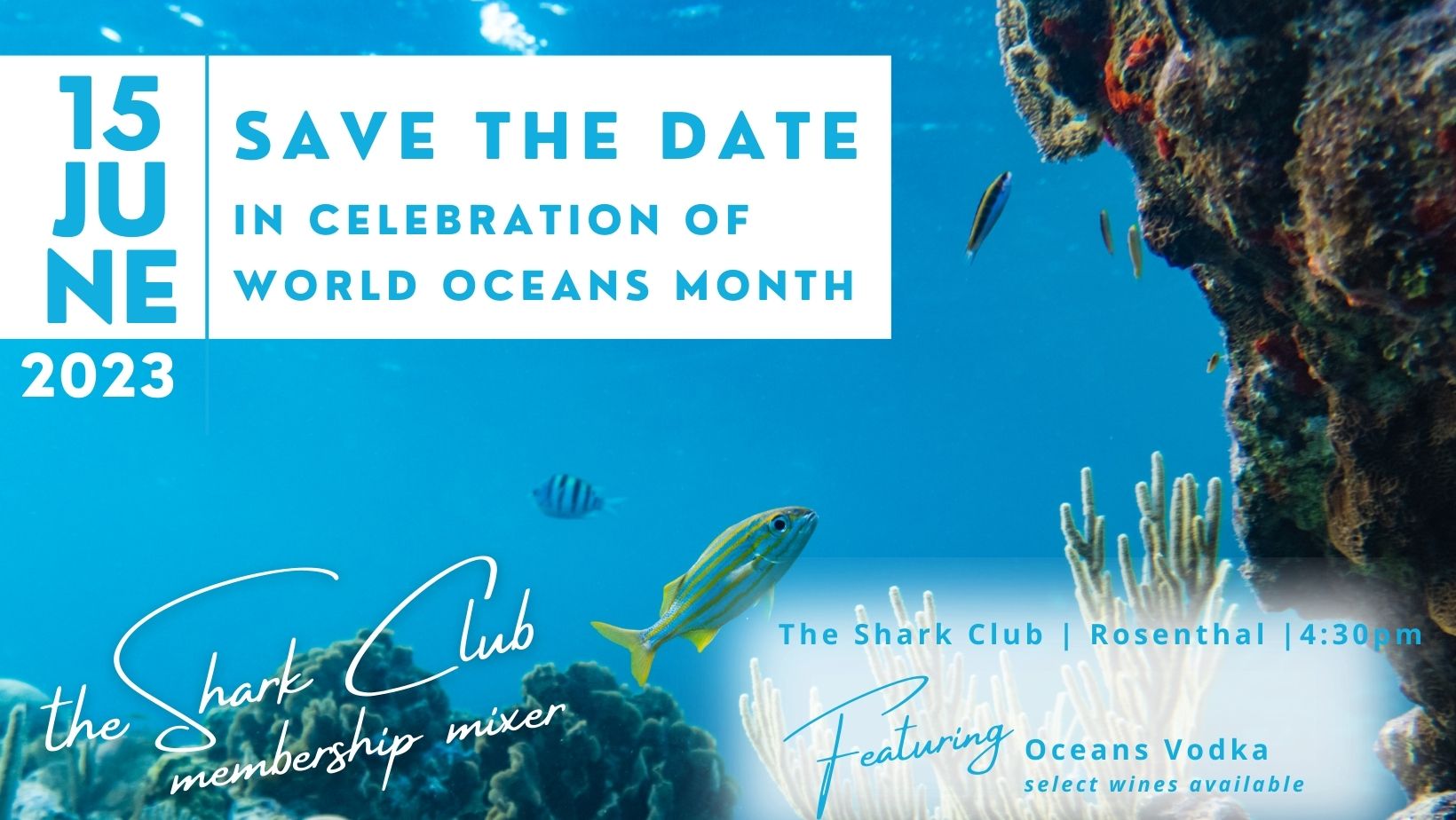 WORLD-OCEANS-MONTH-MIXER-6.15.23-1.jpg